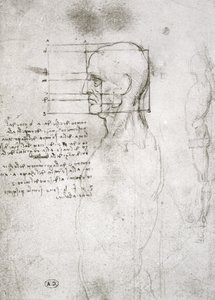 Chef för en gammal man i profil, faksimilkopia (penna och bläck på papper) av Leonardo da Vinci