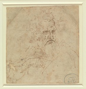 Huvudet på en grymt blickande gråhårig man med högerarm av Leonardo da Vinci