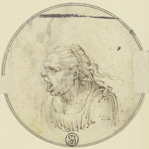 Karikatyr av en kvinna med öppen mun, bröstbild, i profil åt vänster av Leonardo da Vinci