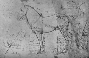 Uppmätt teckning av en häst i profil till vänster, c1480 1945 av Leonardo da Vinci