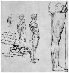 Nakenstudier för Slaget vid Anghiari, c1503-1505 1954 av Leonardo da Vinci