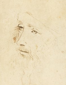 Porträtt av Leonardo da Vinci, ca 1518. av Leonardo da Vinci,