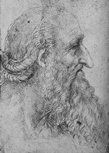 Profil av en gammal skäggig man till höger, c1480 1945 av Leonardo da Vinci