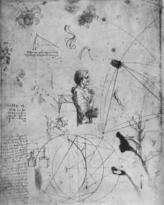 Profil av en gammal man, växter, geometriska figurer, etc., c1480 1945 av Leonardo da Vinci