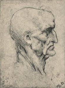 Profil till höger om en äldre skallig man, c1480 1945 av Leonardo da Vinci