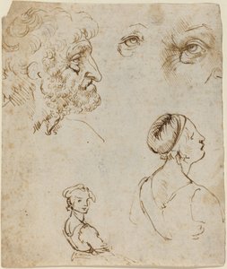 Studieark [recto] av Leonardo da Vinci