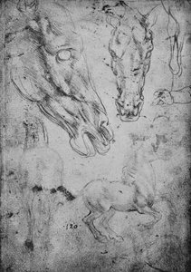 Studies of Horses and of Horses Heads, c1480 1945 av Leonardo da Vinci