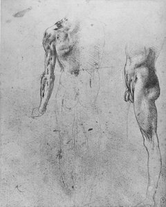 Studier av en naken man sedd från baksidan och från sidan, c1480 1945 av Leonardo da Vinci