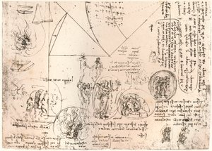 Studier av emblem, c1472-c1519 1883 av Leonardo da Vinci