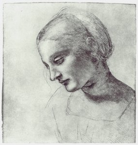 En Madonnas huvud, c1484-1486 av Leonardo da Vinci