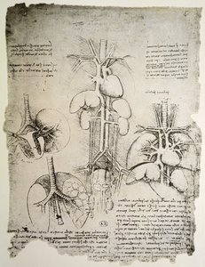 The Heart and the Circulation, faksimil av Windsor-boken (penna och bläck på papper) av Leonardo da Vinci