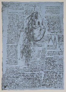 Hjärtat och bronkialartärerna, faksimil av Windsor-boken (penna och bläck på papper) av Leonardo da Vinci
