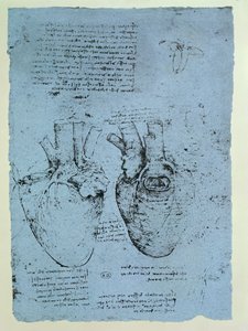 The Heart, faksimil av Windsor-boken (penna och bläck på papper) av Leonardo da Vinci