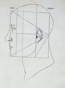 Människohuvudet, illustration för 