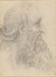 Huvudet på en gammal skäggig man, ca 1517. av Leonardo da Vinci