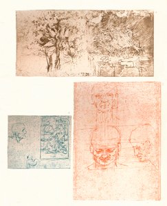 Tre ritningar, c1472-c1519 1883 av Leonardo da Vinci