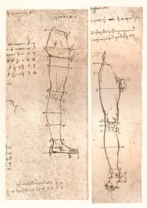 Två ritningar som illustrerar teorin om proportionerna av den mänskliga figuren, c1472-c1519 1883 av Leonardo da Vinci