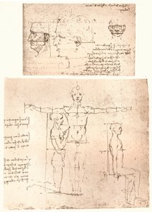 Två ritningar som illustrerar teorin om proportionerna av den mänskliga figuren, c1472-c1519 1883. av Leonardo da Vinci