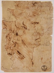 Okänd bild av Leonardo da Vinci