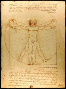 Vitruviansk man av Leonardo da Vinci