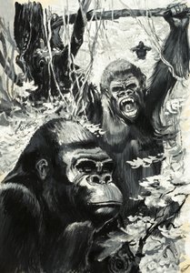 Gorillor av Leslie Field Evans