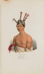 WAA-KAUN-SEE-KAA eller skallerormen; en Winnebago-hövding, från The Aboriginal Portfolio av Lewis, James Otto