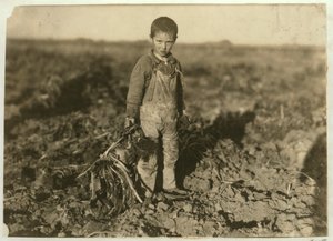 6-åriga Jo drar sockerbetor på en gård nära Sterling, Colorado, 1915 av Lewis Wickes Hine