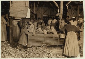 Bill May, 5 år gammal som tjänar 15 cent om dagen, i skuren på Barataria Canning Company, Biloxi, Mississippi, 1911 av Lewis Wickes Hine
