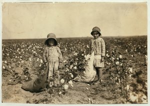Jewel och Harold Walker, 6 och 5 år gamla, plockar 20 till 25 pund bomull om dagen i Geronimo, Comanche County Oklahoma, 1916 av Lewis Wickes Hine