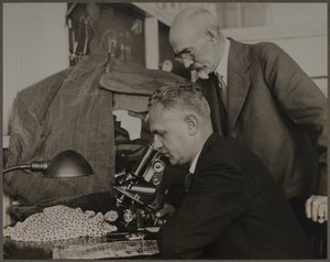  av Lewis Wickes Hine