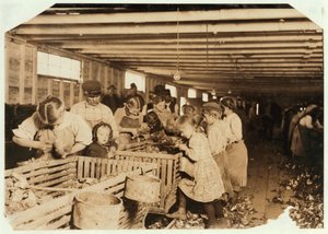 Rosy i åldern 8 arbetar en 14-timmars dag som ostron-shucker på Dunbar Cannery, Louisiana, 1911 av Lewis Wickes Hine