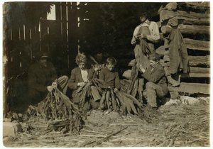 Söner till J.H. Burch i åldern 12, 14 och 17 år som strippar tobak under skoltid i Warren County, Rockfield, Kentucky, 1916 av Lewis Wickes Hine
