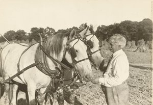 Utan titel, ca. 1935. av Lewis Wickes Hine