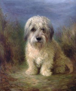 Dandie Dinmont Terrier (olja på duk)