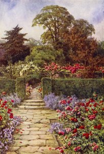The Rose Walk (färg litho)