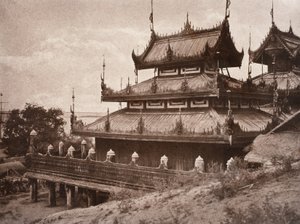 nr 8. Y er-male-gaiyou som [yen högmodig AU att] K ung, 1855 av Linnaeus Tripe