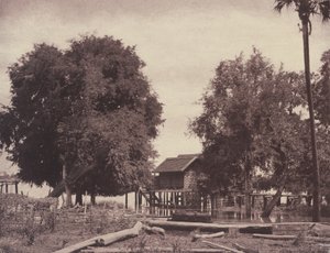 Tsagain Myo: Utsikt nära Irrawaddyfloden av Linnaeus Tripe