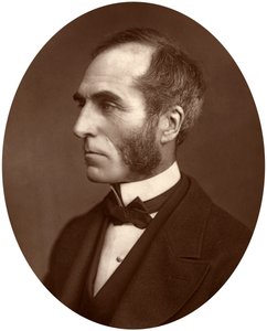 Goldwin Smith, professor, 1878 av Lock and Whitfield