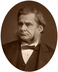 Professor Thomas Henry Huxley, 1880. av Lock and Whitfield