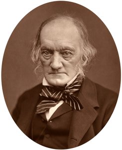 Richard Owen, 1878. av Lock and Whitfield