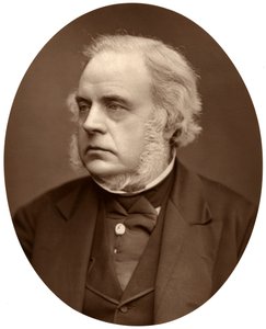 Höger Hon John Bright, MP för Birmingham, 1876. av Lock and Whitfield