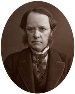 Höger Hon Lyon Playfair, CB, LLD, FRS, skotsk kemist och politiker, 1877. av Lock and Whitfield