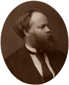 Samuel Plimsoll, Esq, MP, brittisk liberal politiker och social reformator, 1876. av Lock and Whitfield