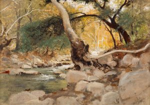 Mission Canyon, Santa Barbara av Lockwood de Forest