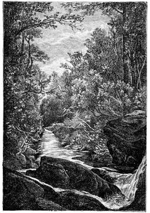 Bergsflod med stenar och vattenfall mitt i en skog. Teckning av Leon Benett gravyr av Meaulle för Hetzel-utgåvan av boken av Elysee (Elisee) Reclus (1830-1905) "Histoire d