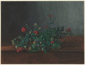 Stilleben med vilda blommor, 1864. av Léon Bonvin