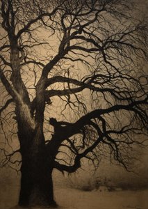 Léon Spilliaert (1881-1946) Träd på vintern Brafa 2019 31-01-2019 av Leon Spilliaert