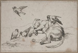 Bild 9 från En hunds liv av Lorenz Frølich