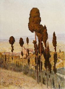 San Francesco, Assisi (olja på duk) av Lorenzo Cecconi
