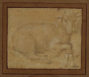 Studie av ett lamm ... av Lorenzo di Credi